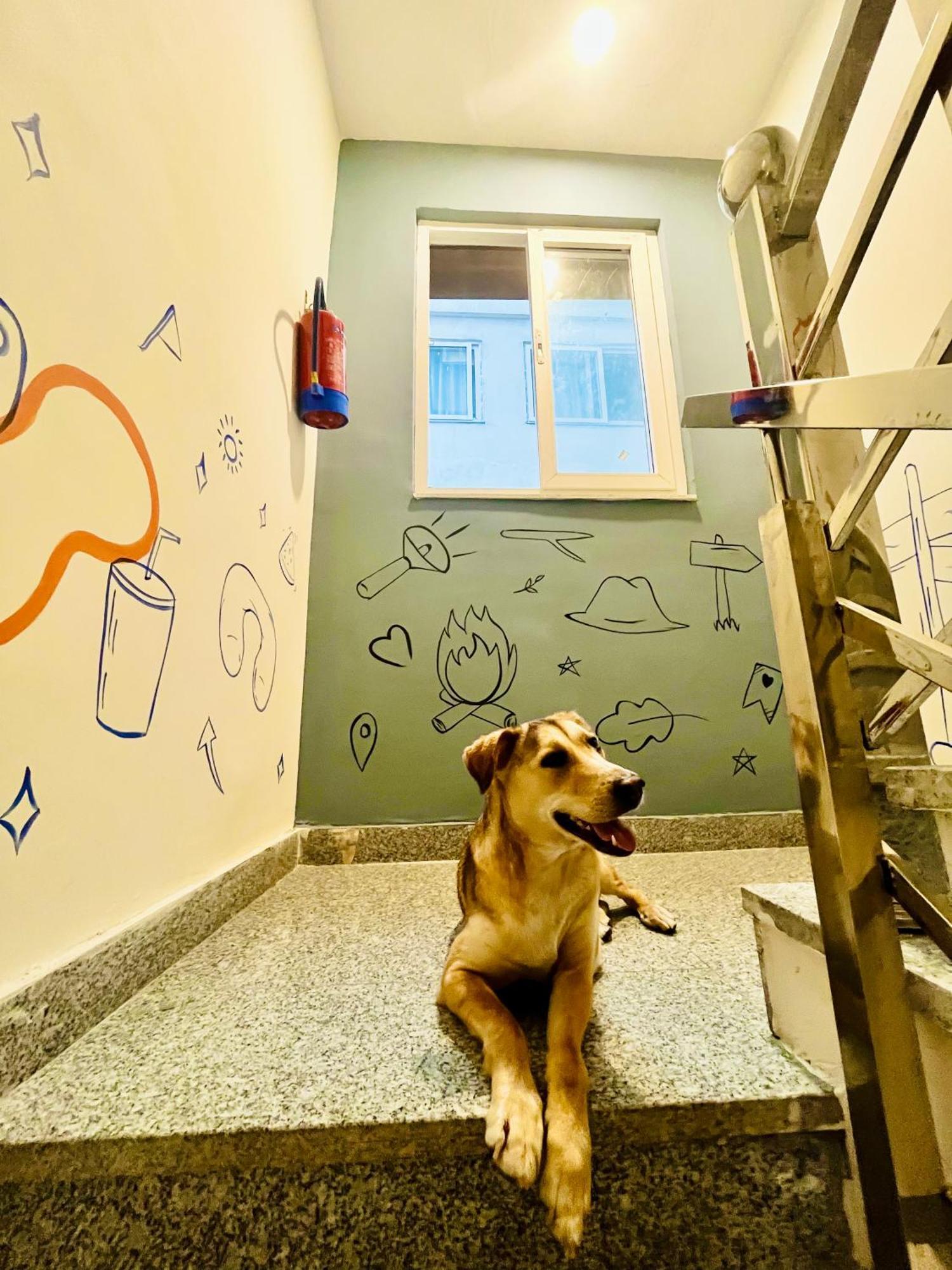 Bonfire Hostels Rishīkesh Εξωτερικό φωτογραφία